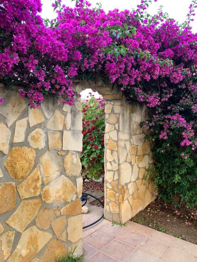 Villa Sunlight Sardegna Капитана Екстериор снимка